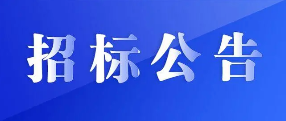 江西長運審計及財務(wù)咨詢服務(wù)采購項目招標(biāo)公告
